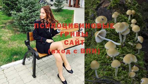 ECSTASY Зеленокумск