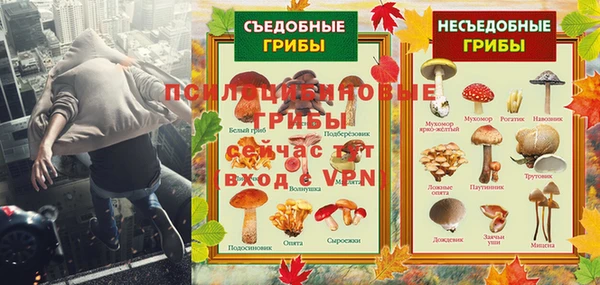 ECSTASY Зеленокумск
