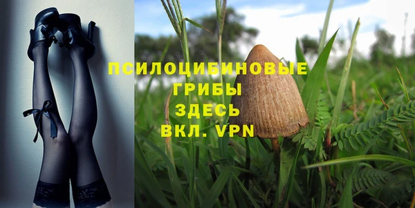 тгк Зеленодольск
